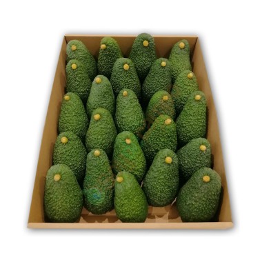 Caja Aguacate (4kg)