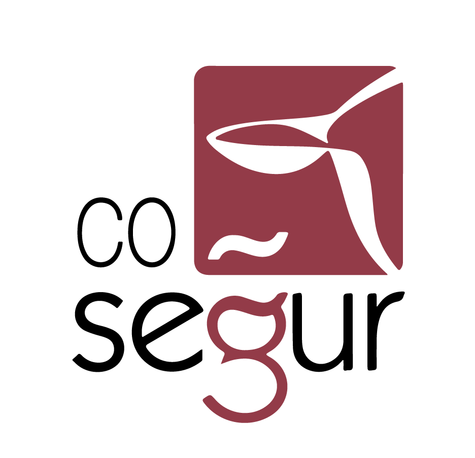 COSEGUR